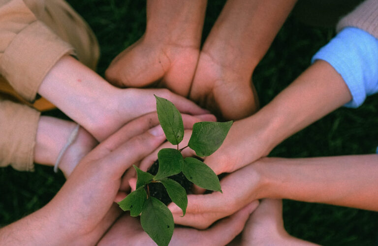 New Families During National Adoption Month